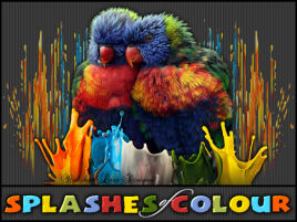 Splashes of Colour