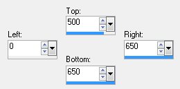 custom selection tool