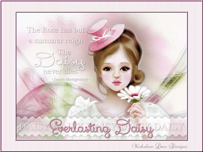 Everlasting Daisy