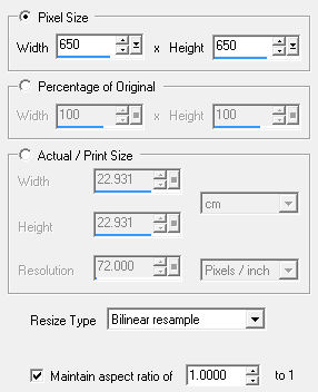 animation resize
