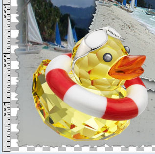 duck position