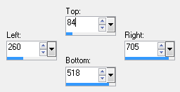 custom selection