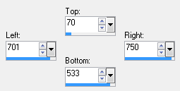 custom selection