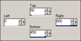 custom selection 