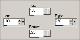custom selection