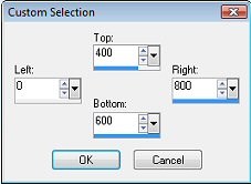 custom selection setting