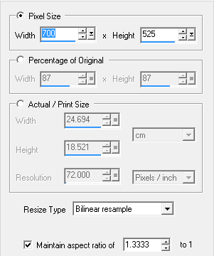 animation resize