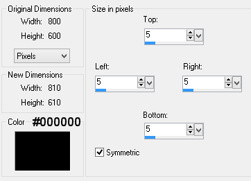 border setting