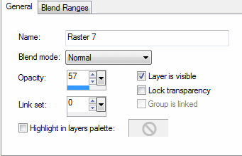 layer properties