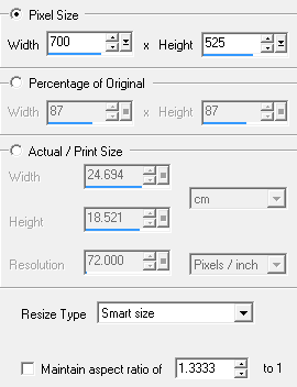 resize animation