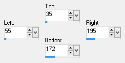 custom selection